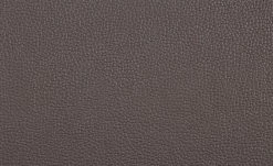 uno Polsterbank Letitia | Braun 155|cm Leder 16 uno Polsterbank Letitia | Braun 155|cm Leder -Bänke Verkaufsladen 11305764 7 202103102234