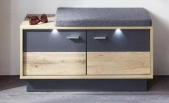 Sitzbank Champio -Bänke Verkaufsladen 11368034 9 201902212155