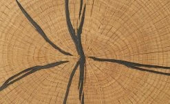 Gray & Jones Garderobenbank Black Coast Two -Bänke Verkaufsladen 12362172 13 202105041235