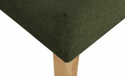 switch Küchensofa Webstoff Astonia | Dunkelgrün 160|cm 12 switch Küchensofa Webstoff Astonia | Dunkelgrün 160|cm -Bänke Verkaufsladen 14306039 3 202101122237