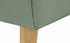 switch Küchensofa Samt Paula | Hellgrün Samt 164|cm -Bänke Verkaufsladen 14306084 6 202012222235