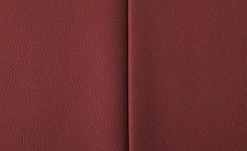 Polsterbank Kingsman | Rot 182|cm 11 Polsterbank Kingsman | Rot 182|cm -Bänke Verkaufsladen 14308974 4 202102262235