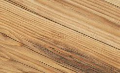 Bank Pinto -Bänke Verkaufsladen 15301184 8 202203242234