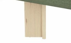 Polster-Eckbank E88 | Moosgrün rechts 190|cm 20 Polster-Eckbank E88 | Moosgrün rechts 190|cm -Bänke Verkaufsladen 15301426 9 202107262232